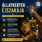 Állatkertek éjszakája