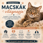 Augusztus 8 – Macskák világnapja
