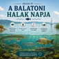 Július 27 – A balatoni halak napja