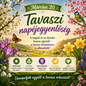 Március 20 - Tavaszi napéjegyenlőség
